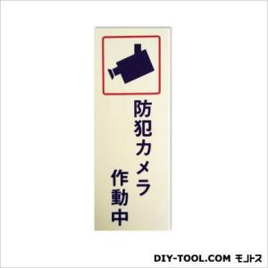 �L���E���c�T�C���e�b�N �h�ƃv���[�g�u�h�ƃJ�����쓮���v �A�C�{���[ 0.15�~7.5�~20cm BH2-6