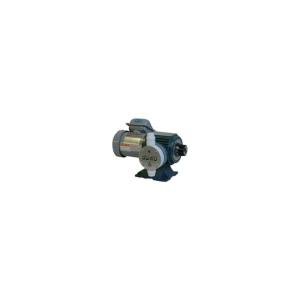 共立機巧 ダイヤフラム式定量ポンプ PTFE製 200(V) 200(W) 屋外型 E-2500-F