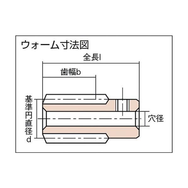 協育歯車工業 ウォーム W1SR1-P-B