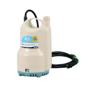 寺田ポンプ 小型水中ポンプ ファミリーポンプ SL-102 (口径25mm