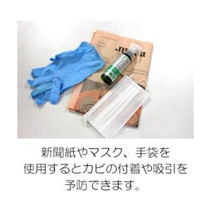 コロンブス カビ用ミスト プラチナ 100mL...の詳細画像1