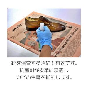 コロンブス カビ用ミスト プラチナ 100mL...の詳細画像3