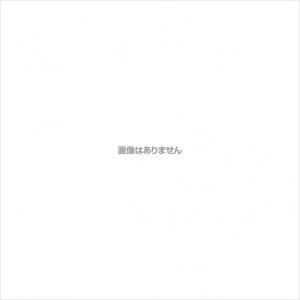 兼弥産業 ダイマック ポリゴン 040008