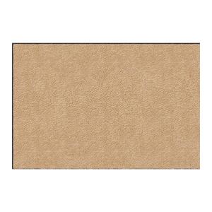 クリーンテックス ジャパン スタンダードマットS 60x40cm AM00158