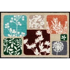 クリーンテックス wash＋dry 50×75cm