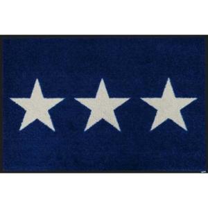 クリーンテックス wash＋dry 50×75cm