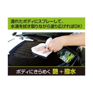古河薬品工業 きらめく艶コートスプレー 500...の詳細画像1