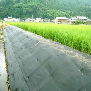 �G���G�t �O���X�K�[�h KWS-100-50GR 1000mm�~50m 1��