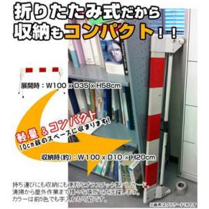 ミツギロン 区画整備用品プラケード トラ(黄黒...の詳細画像1