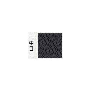 NTカッター NTドレッサー中目 RS-310Pの詳細画像2