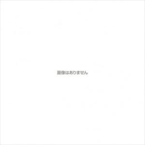 新潟精機 ミニ両頭グラインダ用 研削砥石 #120 オフセット砥石100