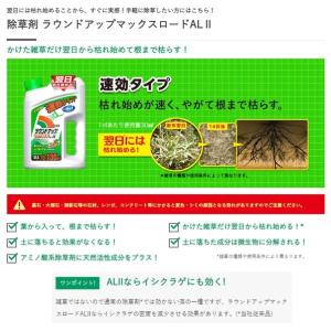 日産化学 ラウンドアップマックスロードALII...の詳細画像1