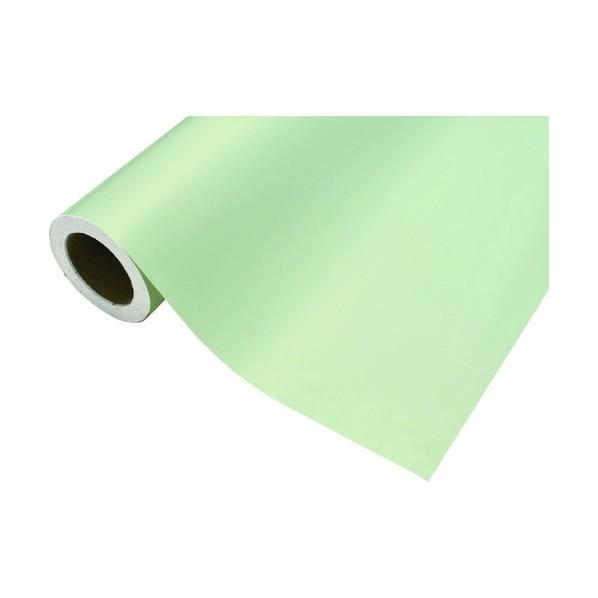 中川ケミカル カッティングシート483セルロイド450mm×12M CS045483R