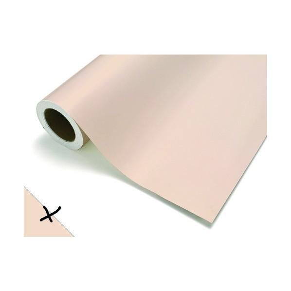 中川ケミカル カッティングシート282パウダービーン450mm×12M CS045282R