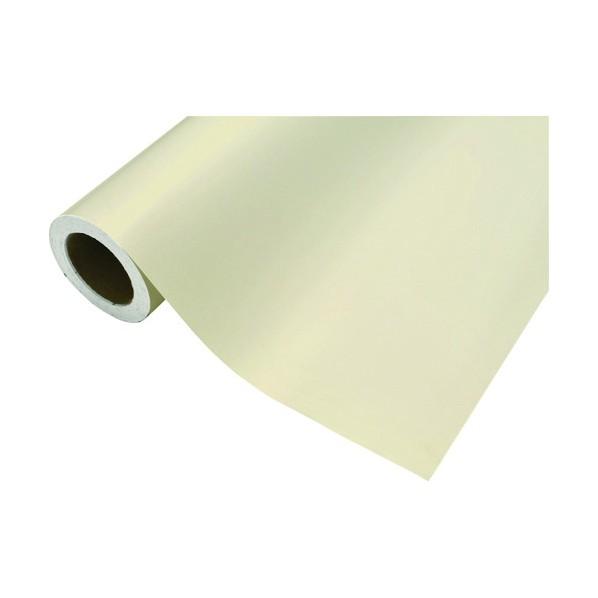 中川ケミカル カッティングシート381メディカルベージュ450mm×12M CS045381R