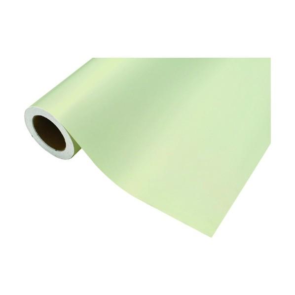 中川ケミカル カッティングシート481サトルグリーン450mm×12M CS045481R