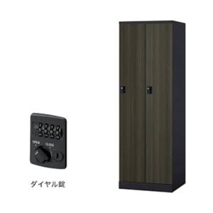 ナイキ ロッカー（GL型） 扉：マロンドレープ／本体：ブラック GL2MD-BMD