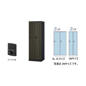 ナイキ ロッカー（GL型） 扉：マロンドレープ／本体：ブラック GL2LD-BMD