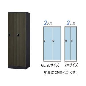 ナイキ ロッカー（GL型） 扉：マロンドレープ／本体：ブラック GL2LJ-BMD