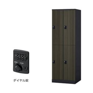 ナイキ ロッカー（GL型） 扉：マロンドレープ／本体：ブラック GL4MD-BMD