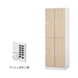 ナイキ ロッカー(GL型) 扉:マロンドレープ/...の商品画像