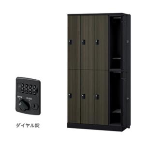 ナイキ ロッカー（GL型） 扉：マロンドレープ／本体：ブラック GL8SD-BMD