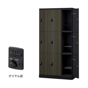 ナイキ ロッカー（GL型） 扉：マロンドレープ／本体：ブラック GL9MD-BMD