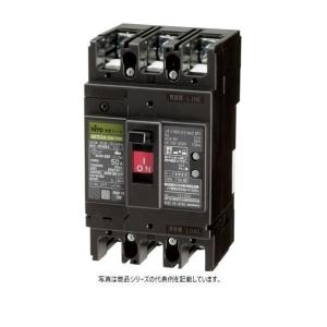 日東工業 漏電ブレーカ（経済形） GE53AF3P30AF100H 1点