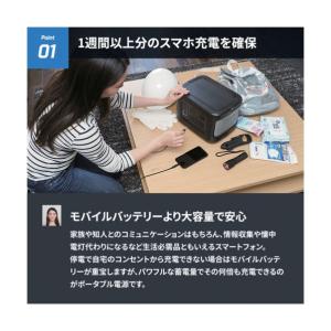 オウルテック 非常時やアウトドアで電源が使える...の詳細画像1
