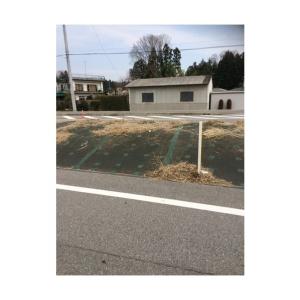 オカモト オカモト 防草シート固定用テープ 緑...の詳細画像5