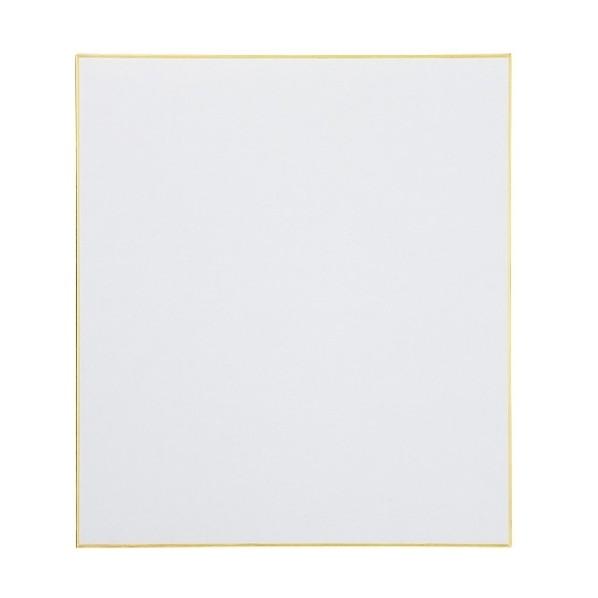 プラス 366027)色紙 サイン用 N101J-S-2P 2枚