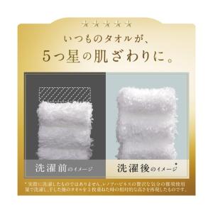 P&Gジャパン 750ml 218032の詳細画像3