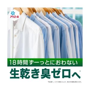 P&Gジャパン 219060の詳細画像2