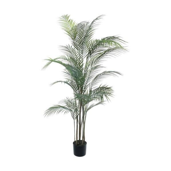 ポピー アレカヤシ グリーン 全長150cm・幅80cm ポットφ15cm×H12.5cm GLP-...