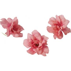ポピー デルフィニュームパック P 全長21cm 幅10cm FBC-8189