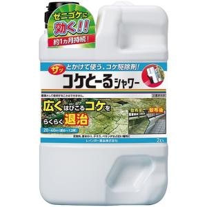 レインボー薬品 コケとーるシャワー 2L 1の商品画像