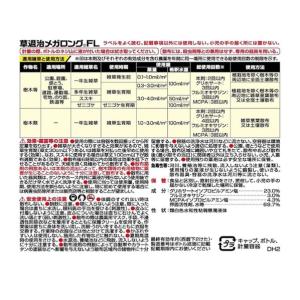 KINCHO園芸 草退治メガロングFLDH 2...の詳細画像1