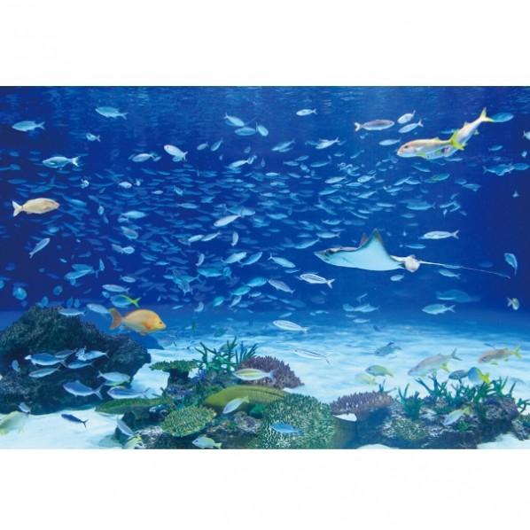 サンゲツ デジタルプリント壁紙 リザーブ（HIGH GRAFICA）風景写真 サンシャイン アクアリ...