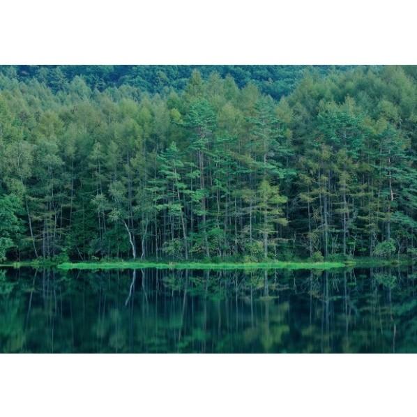 サンゲツ デジタルプリント壁紙 リザーブ（HIGH GRAFICA）風景写真 奥蓼科 御射鹿池 Sサ...