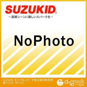 �X�Y�L�b�h ���^�n�ڐؒf���p��Ό��t W-26