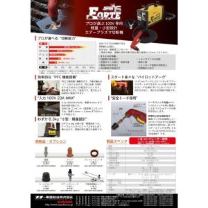 スター電機|スズキッド エスパーダ15フォルテ...の詳細画像5