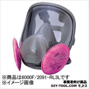3M 防塵マスク兼防毒マスク 3M(スリーエム) 6000F/2071-RL2 全面体 M