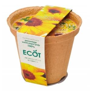 聖新陶芸 スマイル サンフラワー エコット GD-435