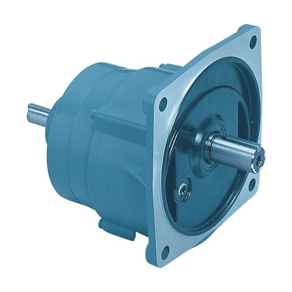 シグマー技研 平行軸両軸形0.4Kwフランジ取付形減速機 減速比1/50 WF2-04-50