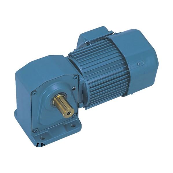 シグマー技研 直交軸脚取付形減速機 三相0.4KW 減速比1/50 ブレーキ無 TMHL-04-50...