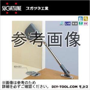 �X�K�c�l(LAMP) �\�t�g�_�E���X�e�[ �O���[ SDS-C100-G