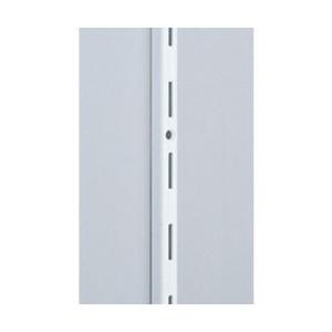 �X�K�c�l(LAMP) �I��10000�^ �z���C�g 10000-00028