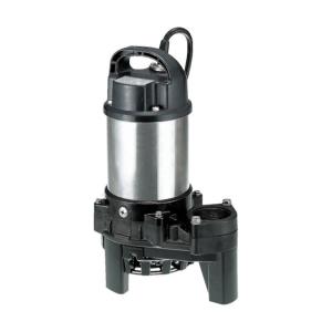 寺田ポンプ 水中ポンプ PG-250 (単相100V/0.25kW/非自動型