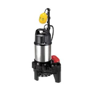 寺田ポンプ 水中ポンプ CSA-100 (自動運転型/100V100W) [テラダポンプ