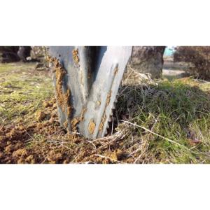 TAKAGIパイプ柄強力根切・土起こしショベルの詳細画像4
